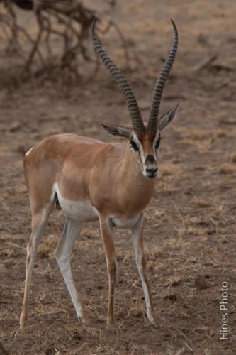 16-IMG 0034