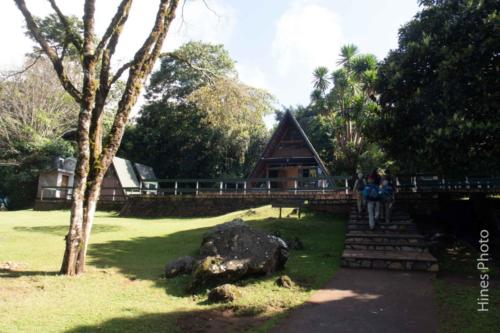 06-IMG 0547