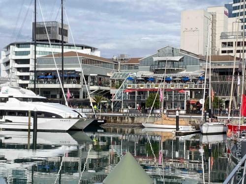 The harbor  in Auckland, New Zealand