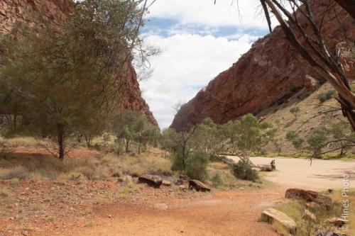 Simpson's Gap