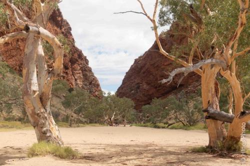 Simpson's Gap
