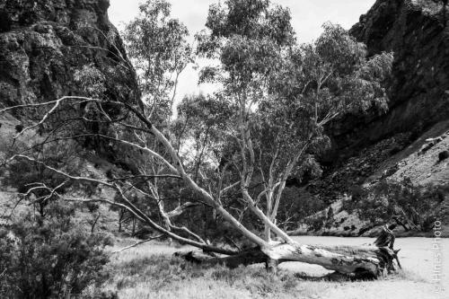 Simpson's Gap