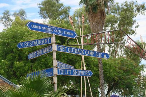 Near Curtin Springs
