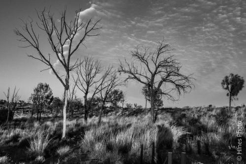 Kata Tjuta