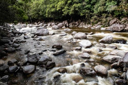 Mossman Gorge