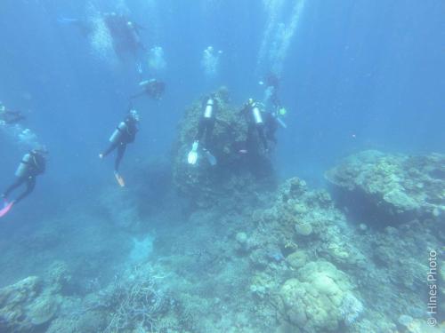 Great Barrier Reef