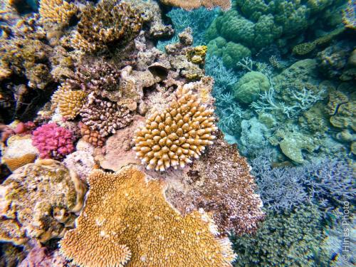 Great Barrier Reef