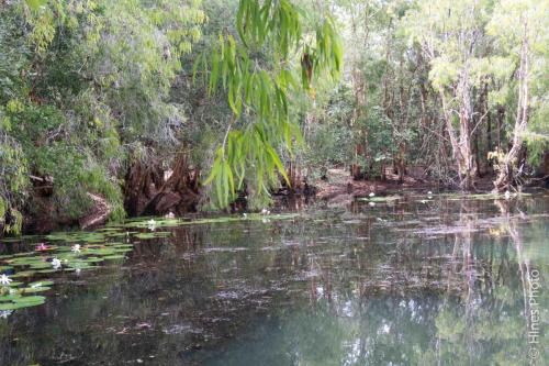 Hartley’s Crocodile Adventures