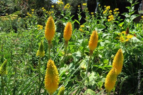 In the botanical garden in Christ Church NZ