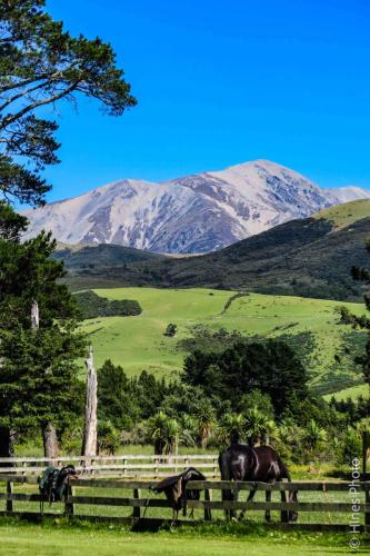 Rubicon Farm outside of Christ Church NZ
