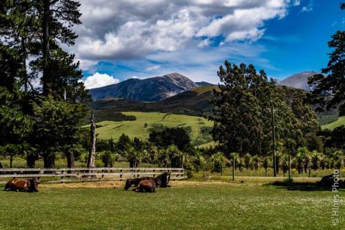 Rubicon Farm outside of Christ Church NZ.