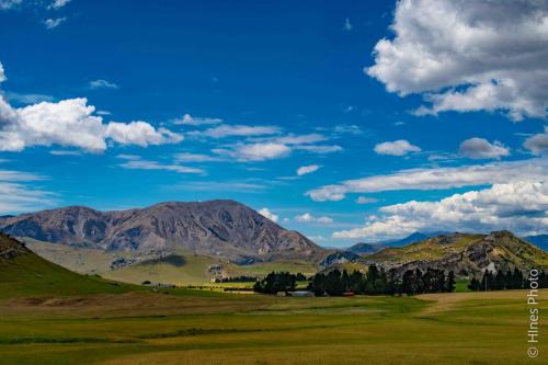 The NZ Alps on the way to Hokitika