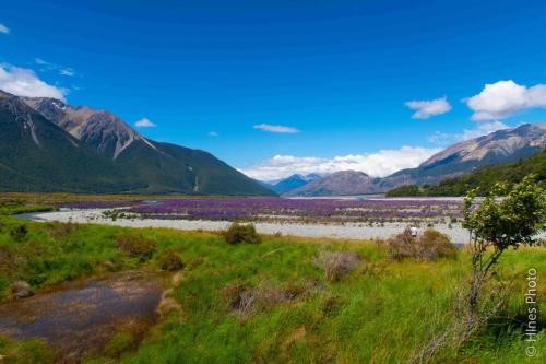 On the way to Hokitika