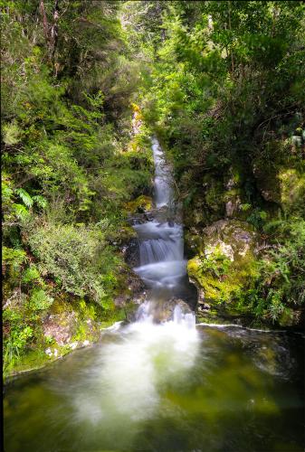Au NZ Day23-12a