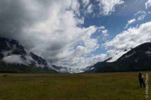 On the way to Milford Sound