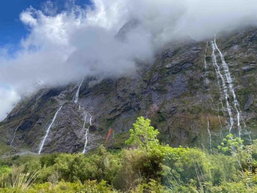 On the way to Milford Sound