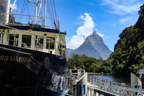 In Milford Sound