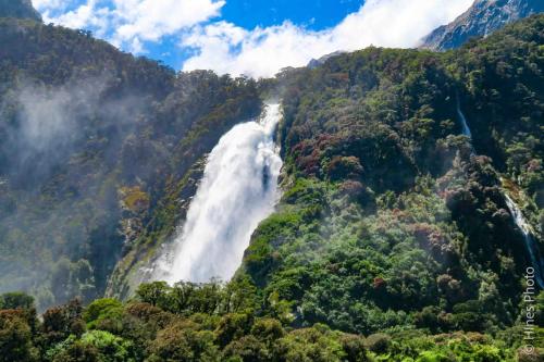 In Milford Sound