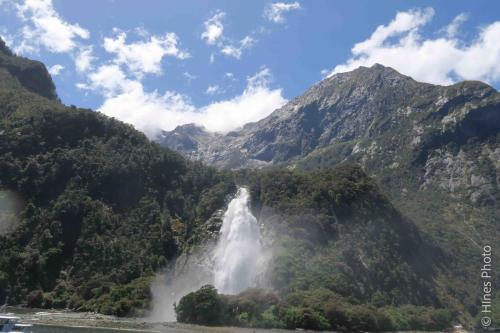 In Milford Sound