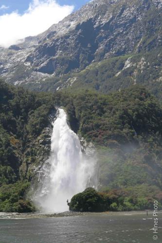 In Milford Sound