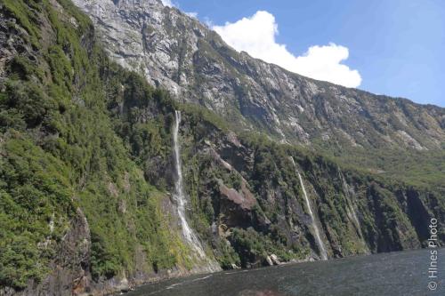 In Milford Sound