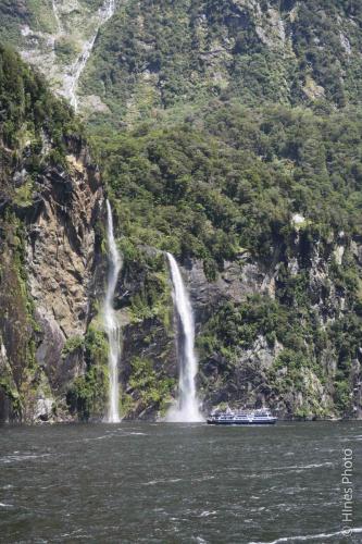 In Milford Sound