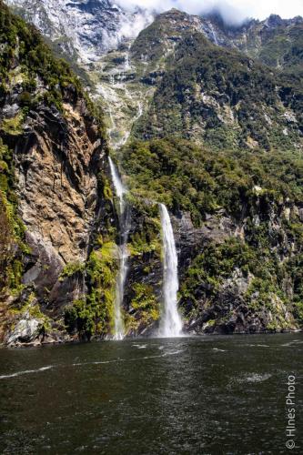 In Milford Sound
