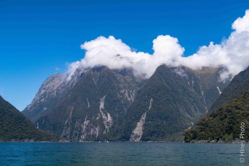 In Milford Sound