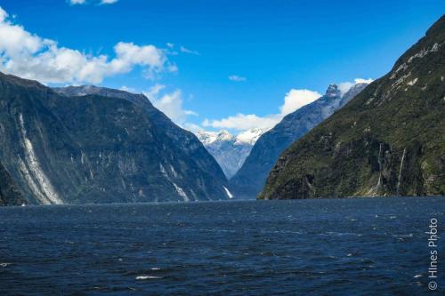 In Milford Sound