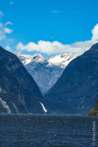 In Milford Sound