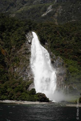 In Milford Sound