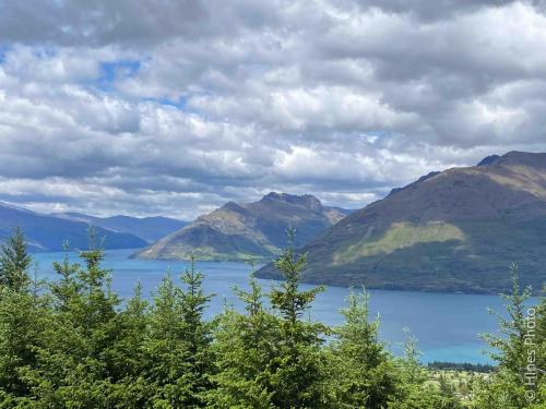 On The Queenstown Hill Walking Track