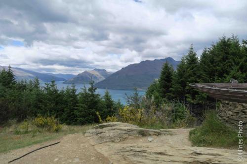 On The Queenstown Hill Walking Track