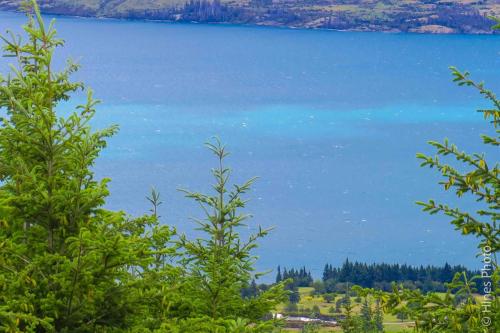 On The Queenstown Hill Walking Track