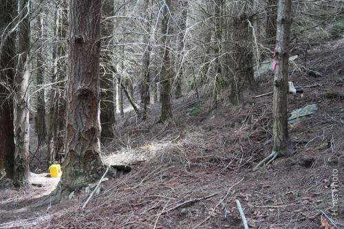 Invasive species trap on The Queenstown Hill Walking Track