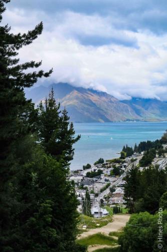 On The Queenstown Hill Walking Track