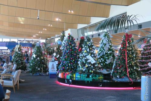 In the Wellington Airport