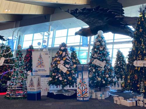 In the Wellington Airport