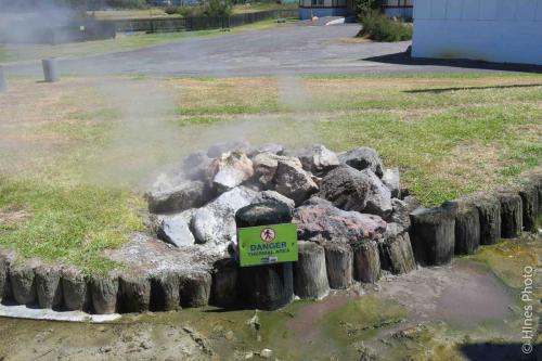 Hot spring vents in Rotorua