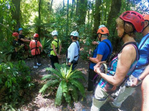 Getting ready to zipline