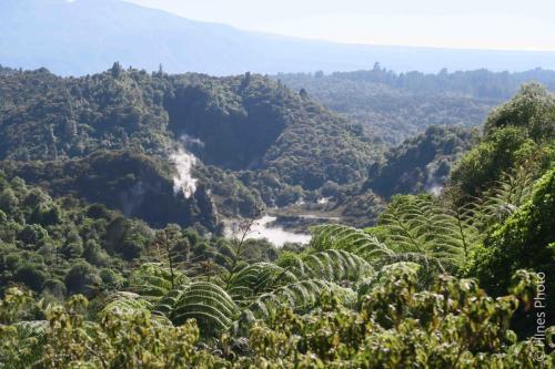 Au NZ Day29-13