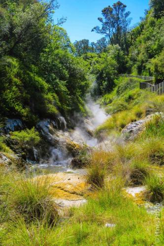 Frying Pan Lake overflow stream