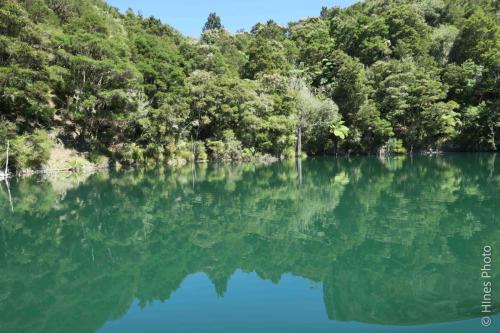 Lake Rotomahana