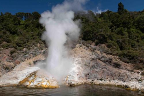 Geyser erupting on Lake Rotomahana