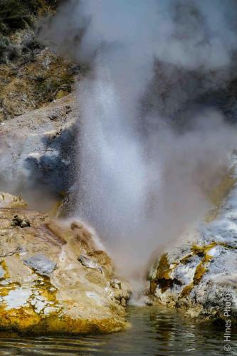 Geyser erupting on Lake Rotomahana