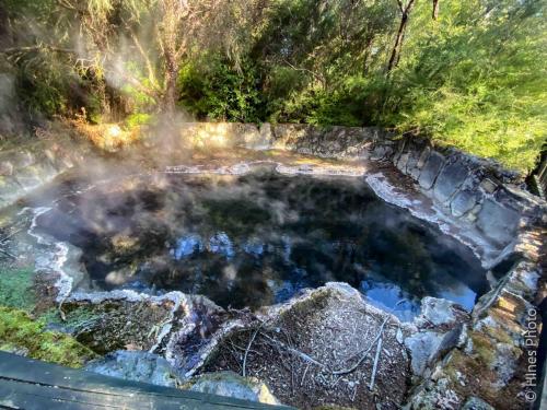 One of the many hot springs in Kuirau Park