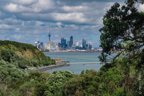 Auckland Sky Line