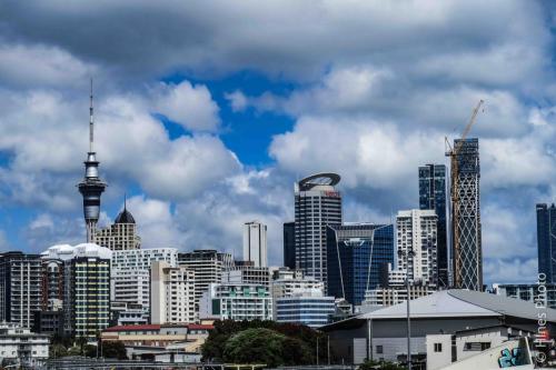 Auckland Skyline