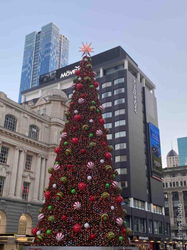 A Christmas tree in the Auckland Harbor