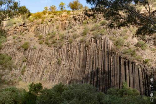 Organ pipe viewing area.